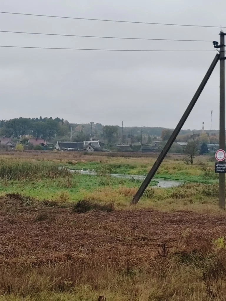 Дом с большим участком в гп.Россь