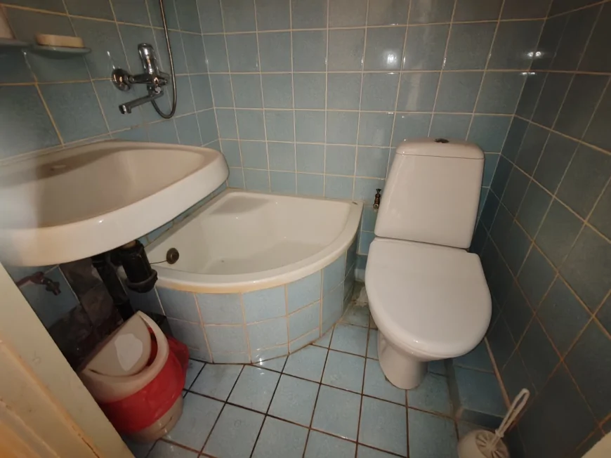 Большой дом в Южном