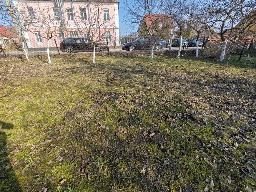 Большой дом в центре